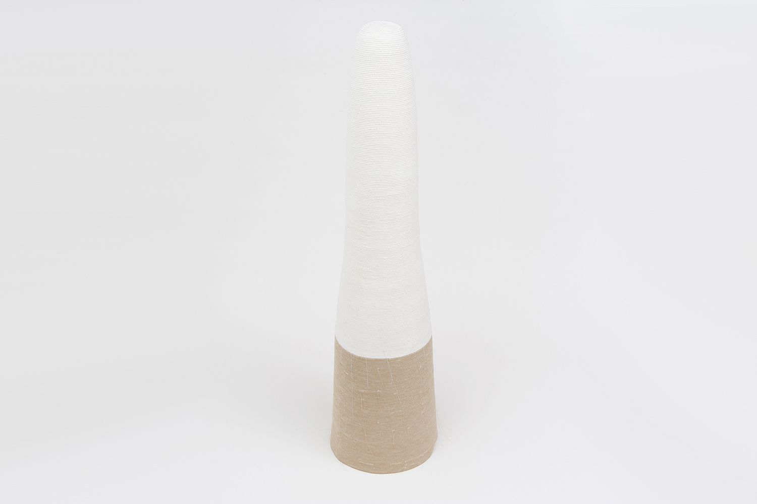Untitled Cone Shroudweb