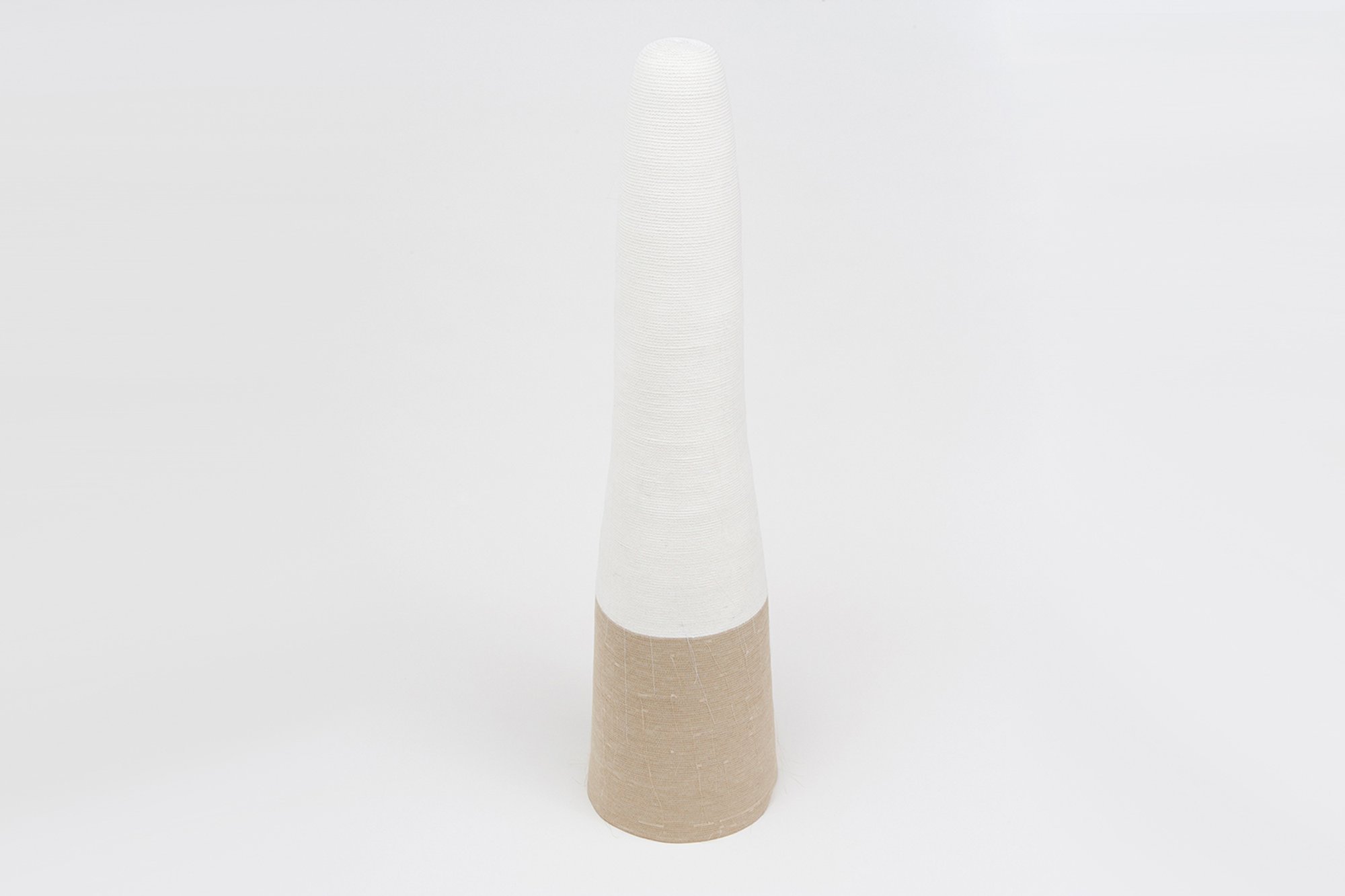 Untitled Cone Shroudweb