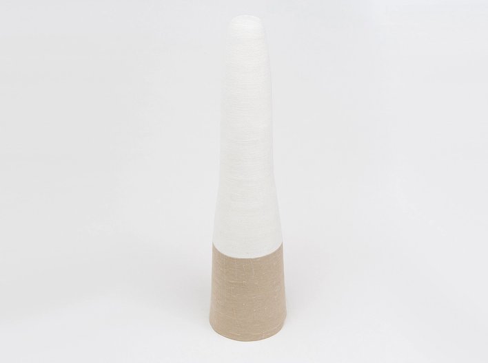 Untitled Cone Shroudweb