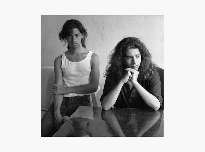 Starn twins