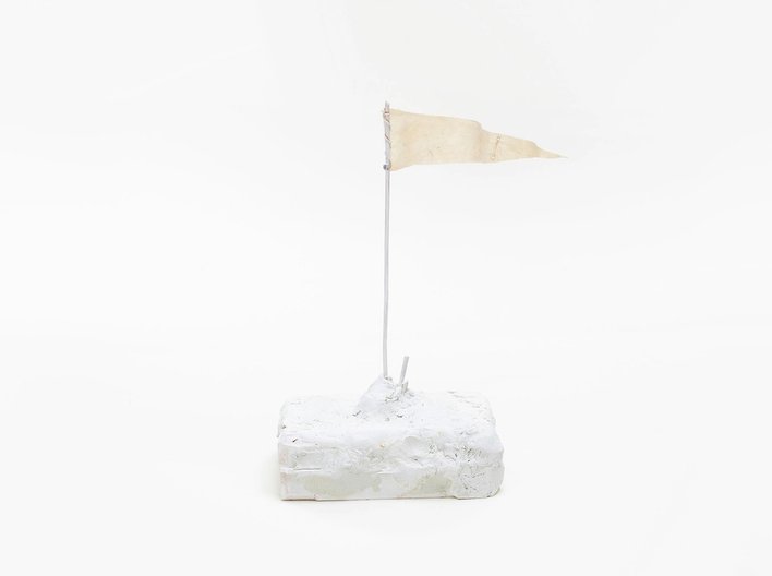 Oglander replaced flag