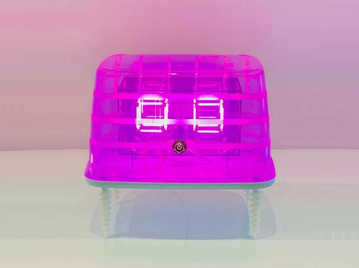 IMG 7460