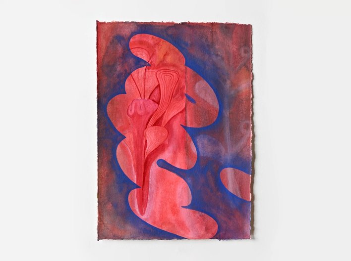 Liam Lee Study For Coxcomb 10 Wx14 H