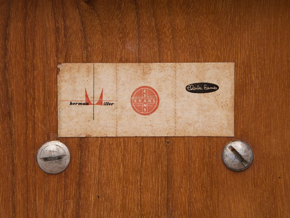 3655 XB2 W0708 web