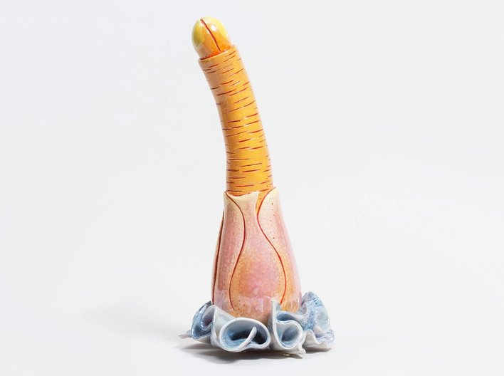 Tubewormllweb