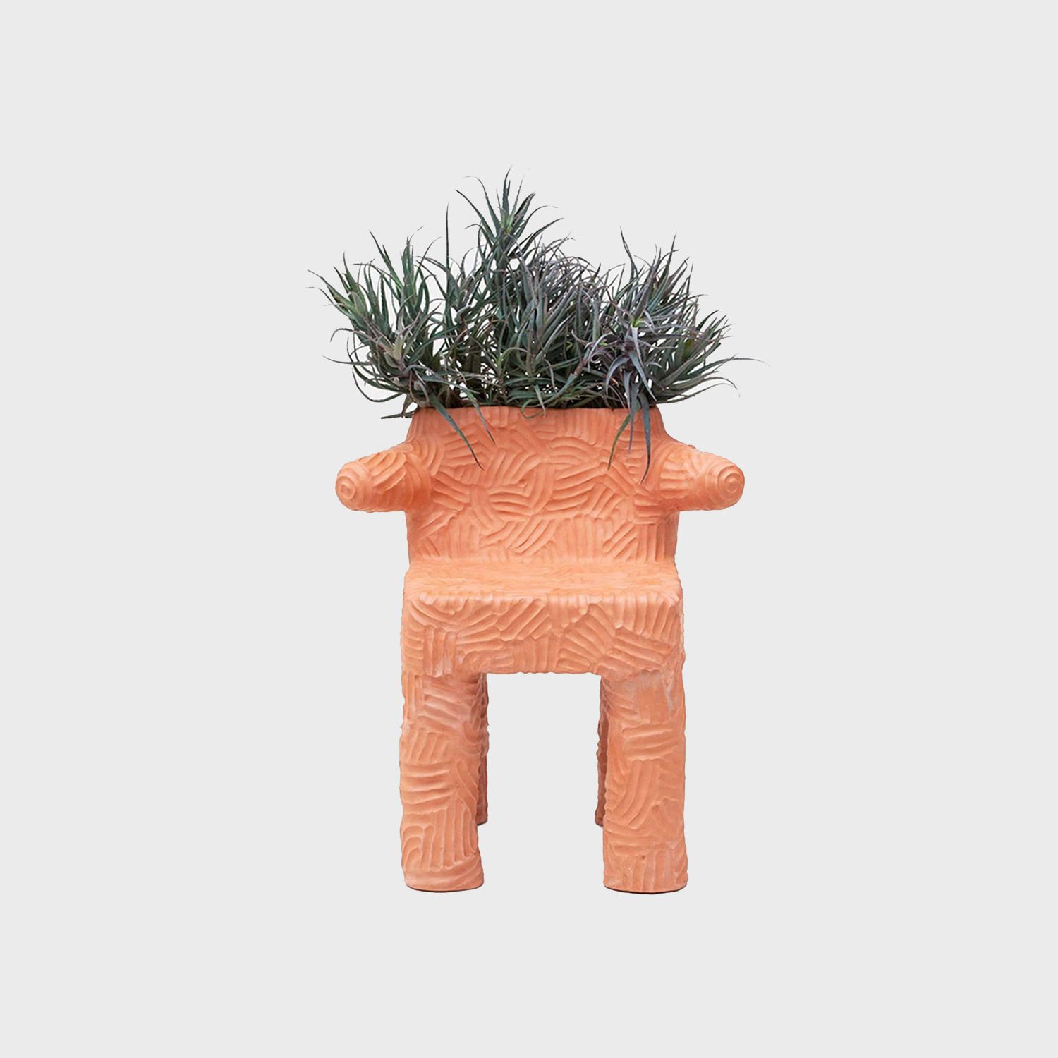 Wolston x sight unseen 2