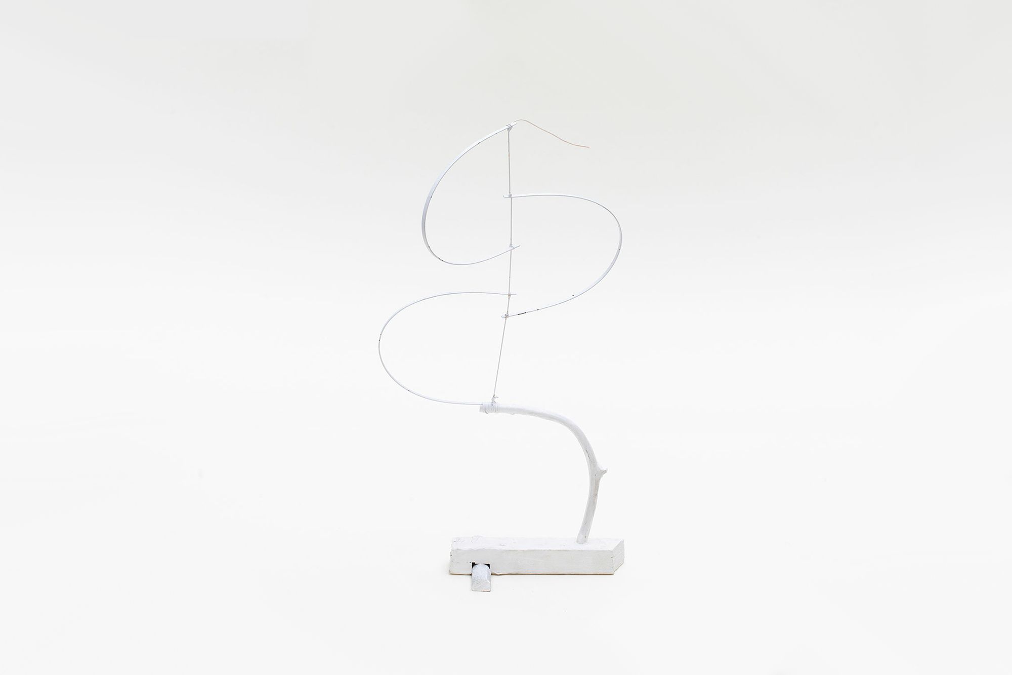 Oglander tensioned branch