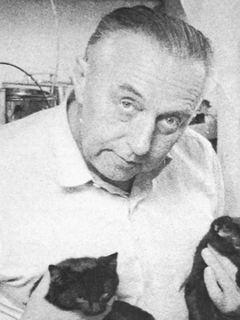 Walter Bosse