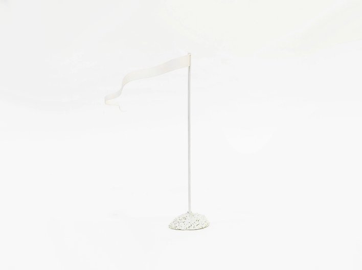 Oglander flag moss