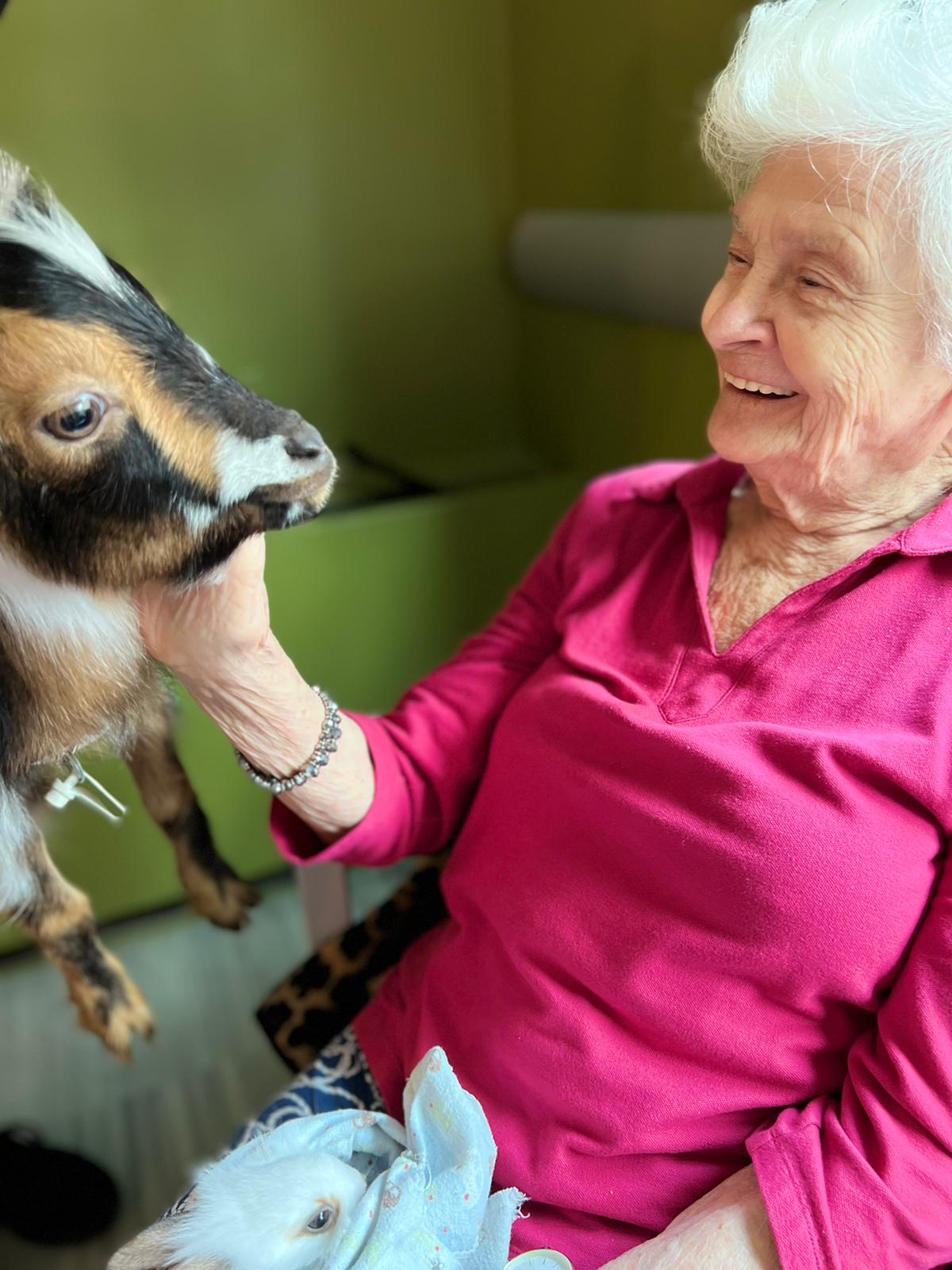 senior woman smiling while playing with goat and rabbit