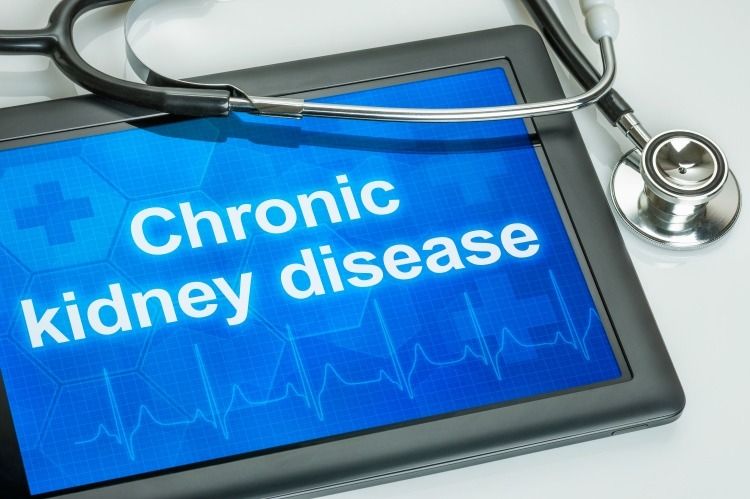 What is Chronic Kidney Disease? A Guide to CKD & Treatment