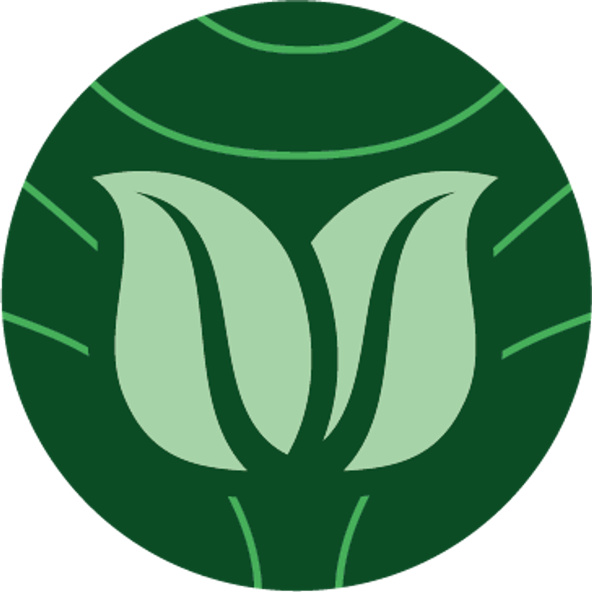 Merwick Disk Icon