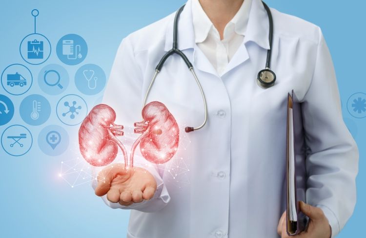 Protecting Kidney Health: Essential Tips & Lifestyle Changes