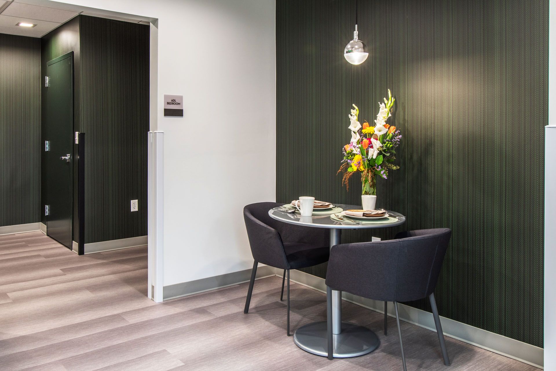 Cedar View MA rehab adl suite