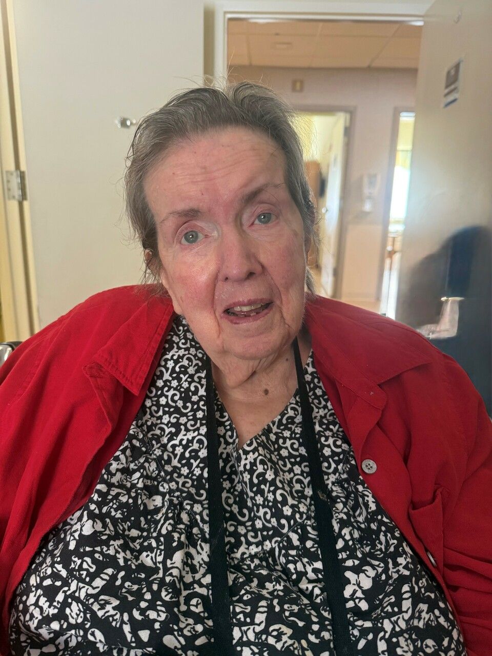 Dilys Smith
