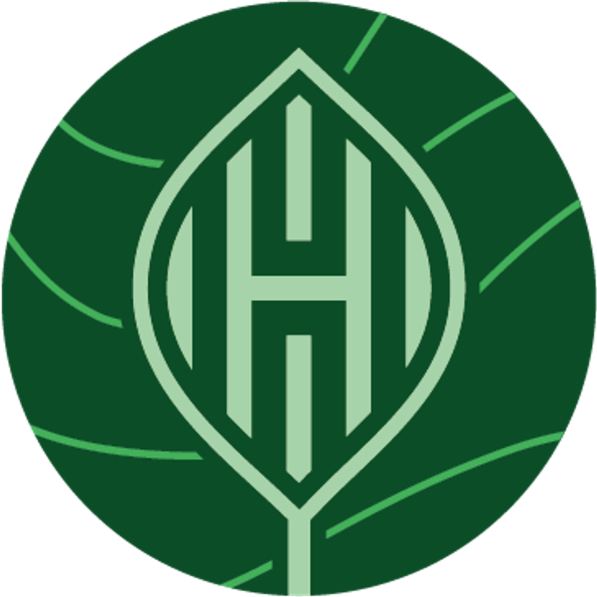Hampden Disk Icon