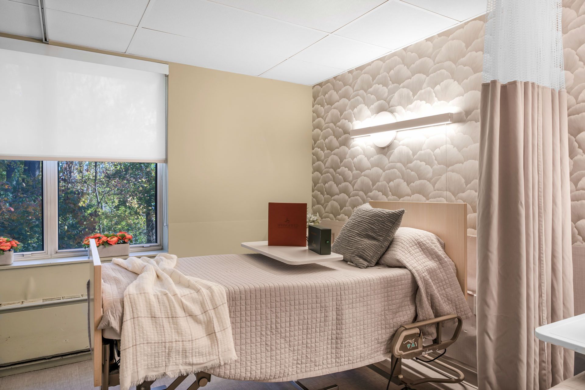 Springfield PA rehab private bedroom