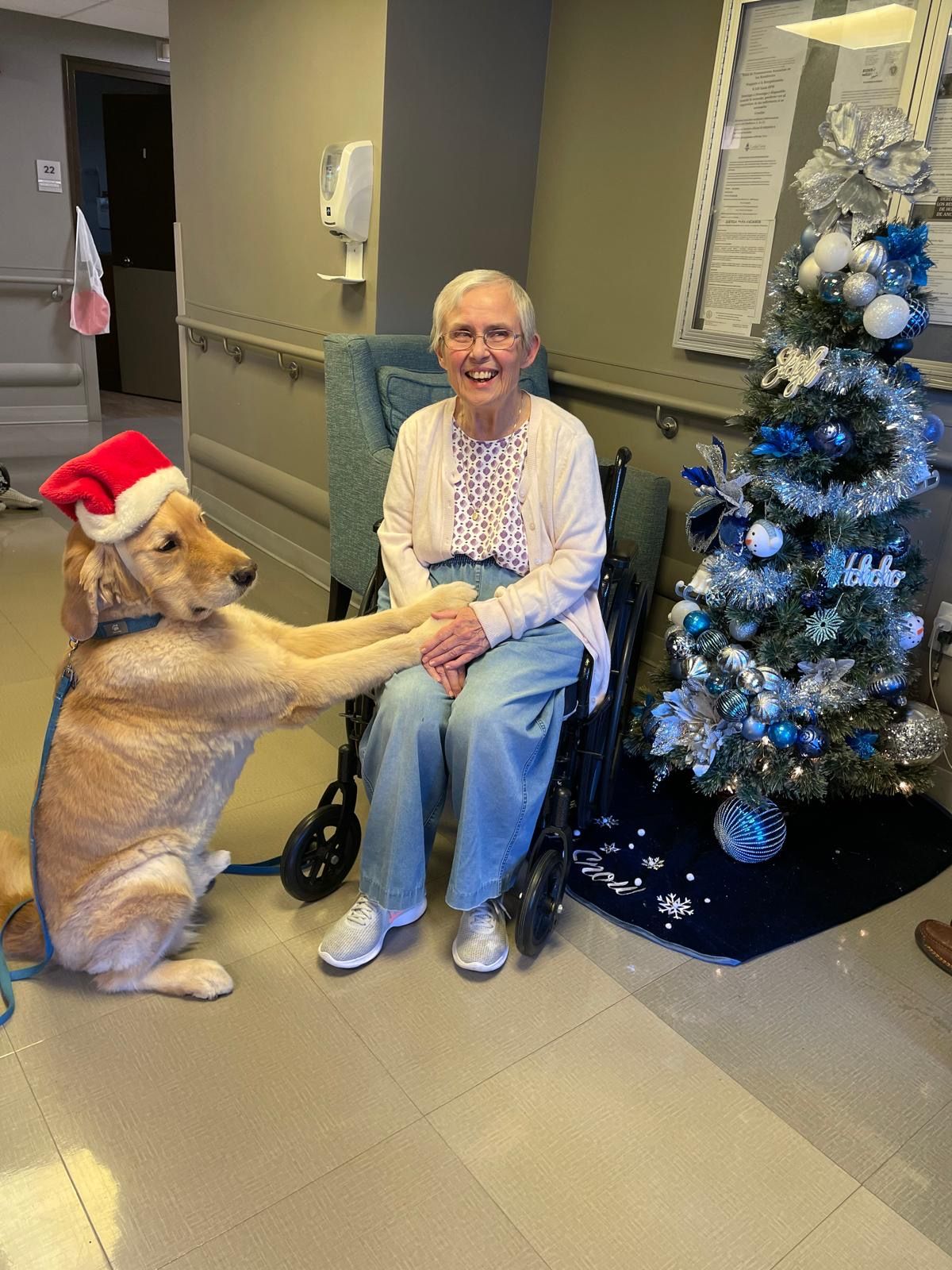 senior woman smiling while adorable dog puts paws on her in nursing home setting