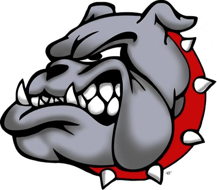 Brighton HS Swim & Dive logo