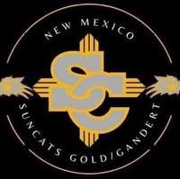 New Mexico Suncats logo