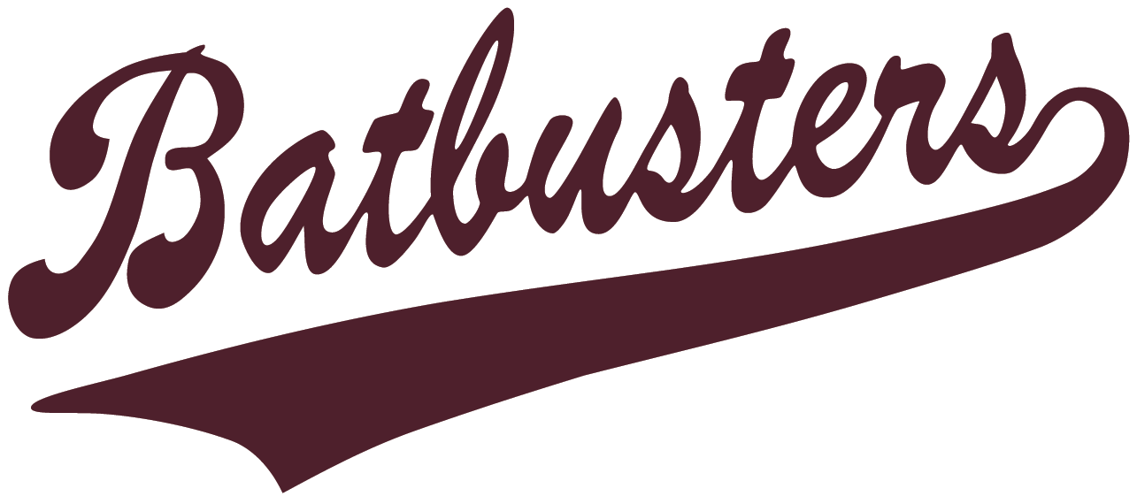 BatBusters Holt logo
