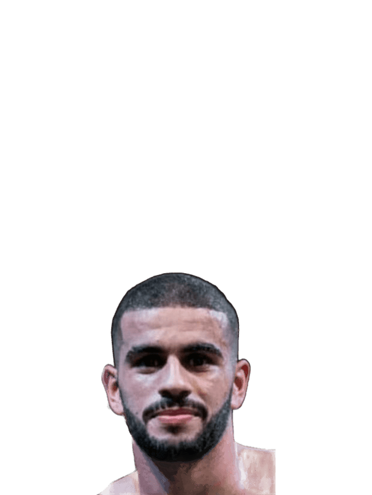 Ayoub El Fahmi