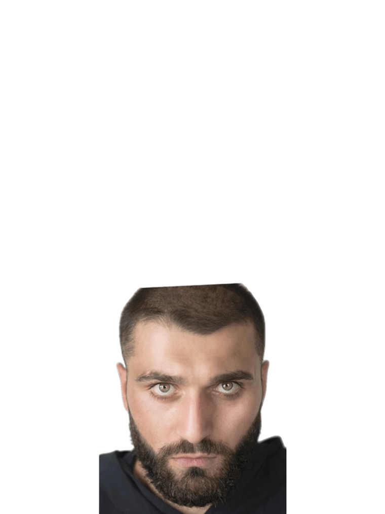 Nikoloz Sekniashvili