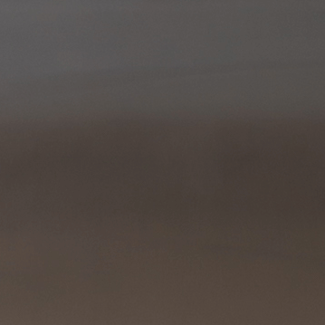 Brushed Stainless Steel