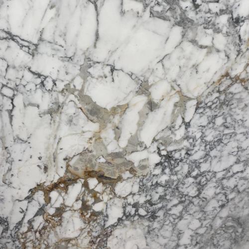 Calacatta Arabescato Marble
