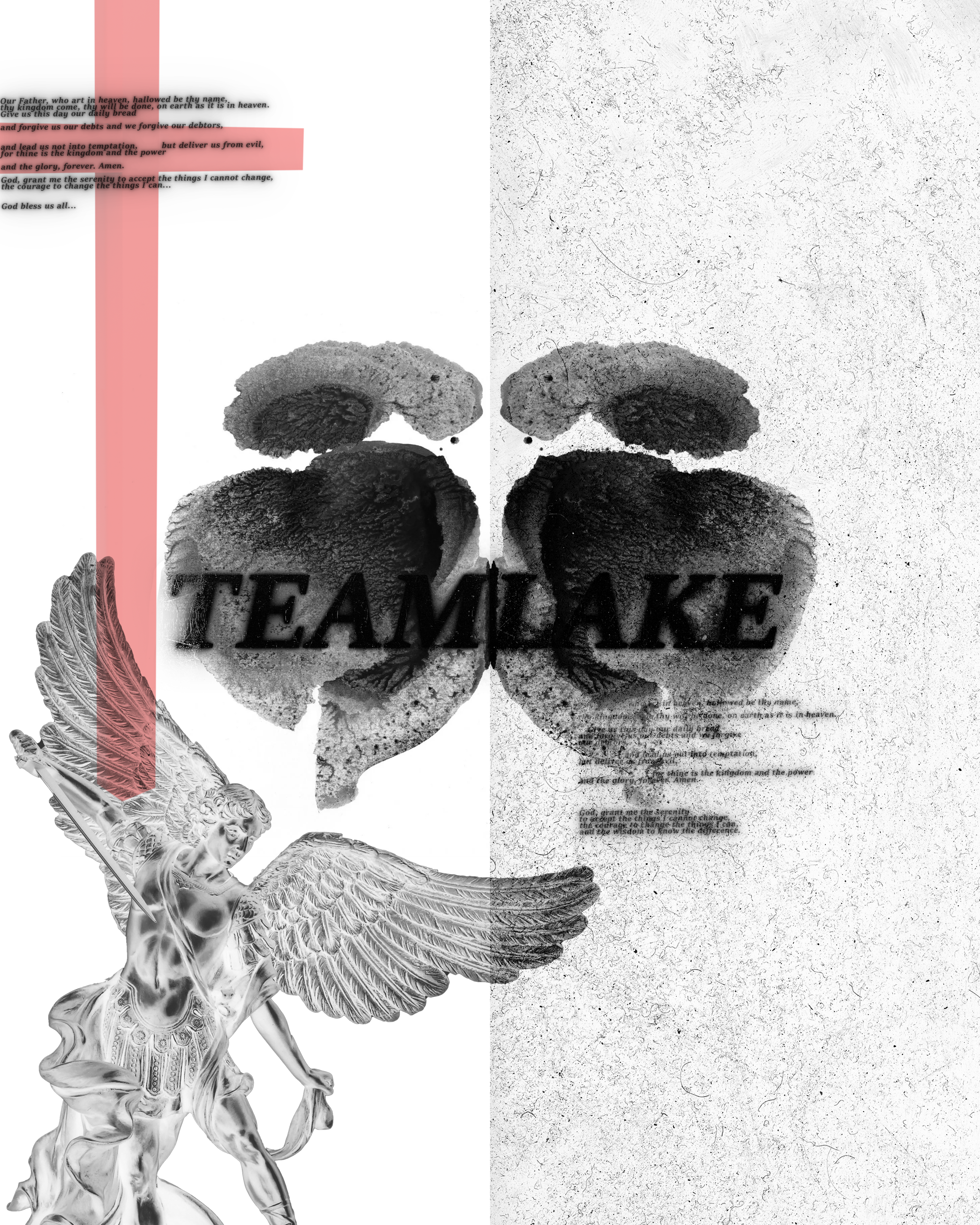 "TEAMLAKE WhiteHat"