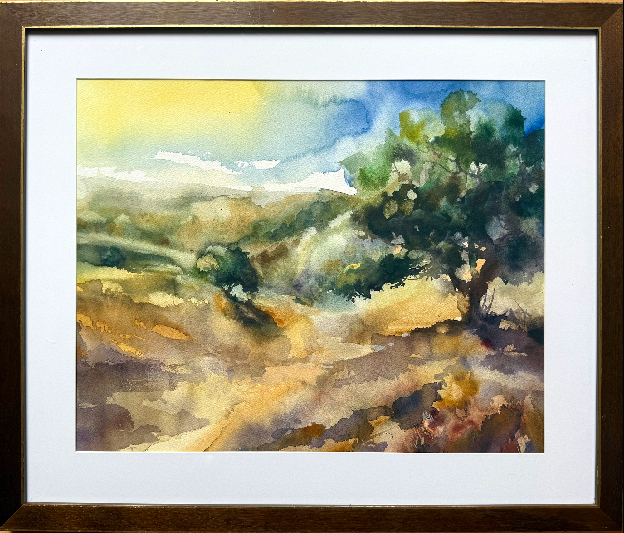 California Dream Under the Tree — in the frame