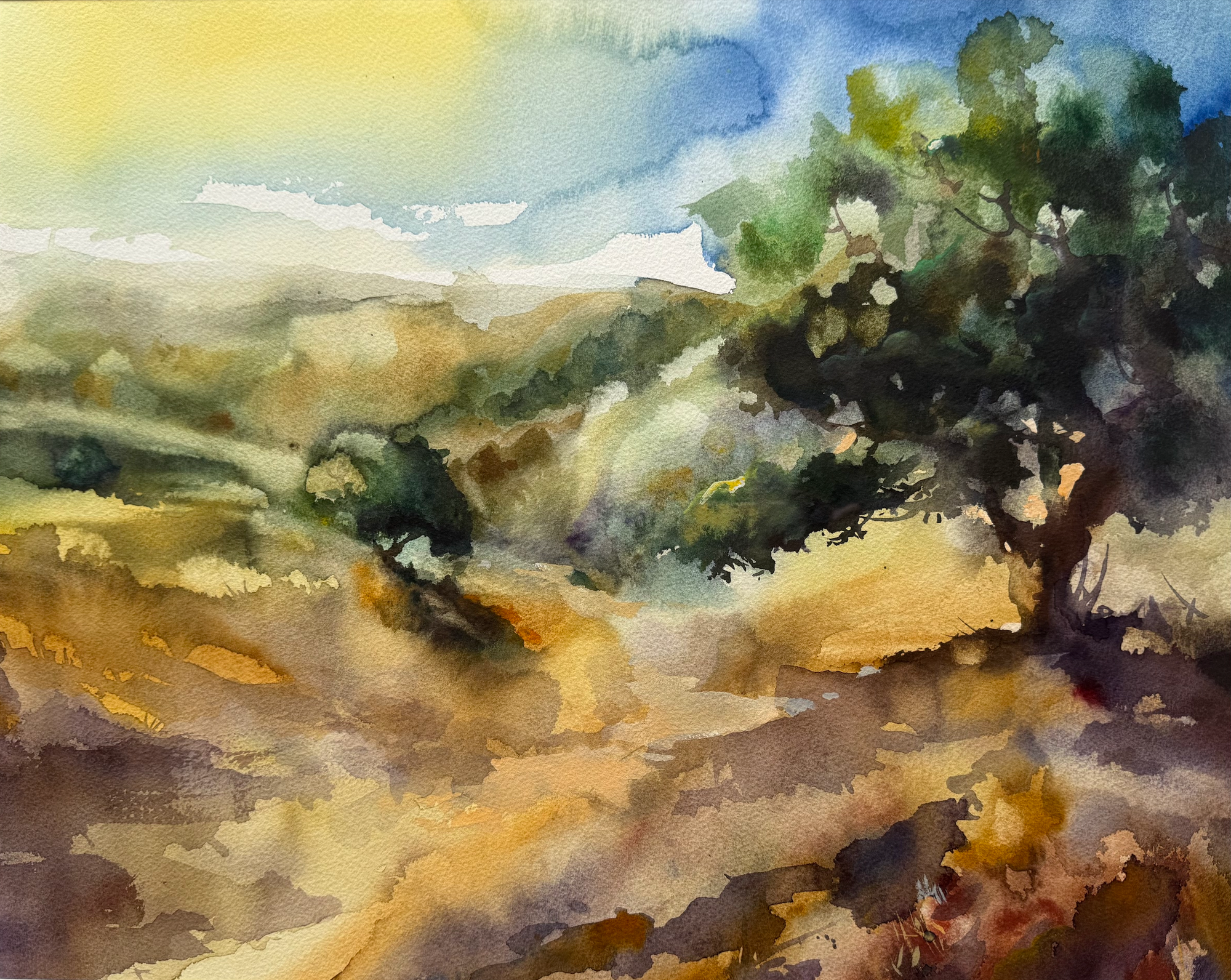 California Dream Under the Tree