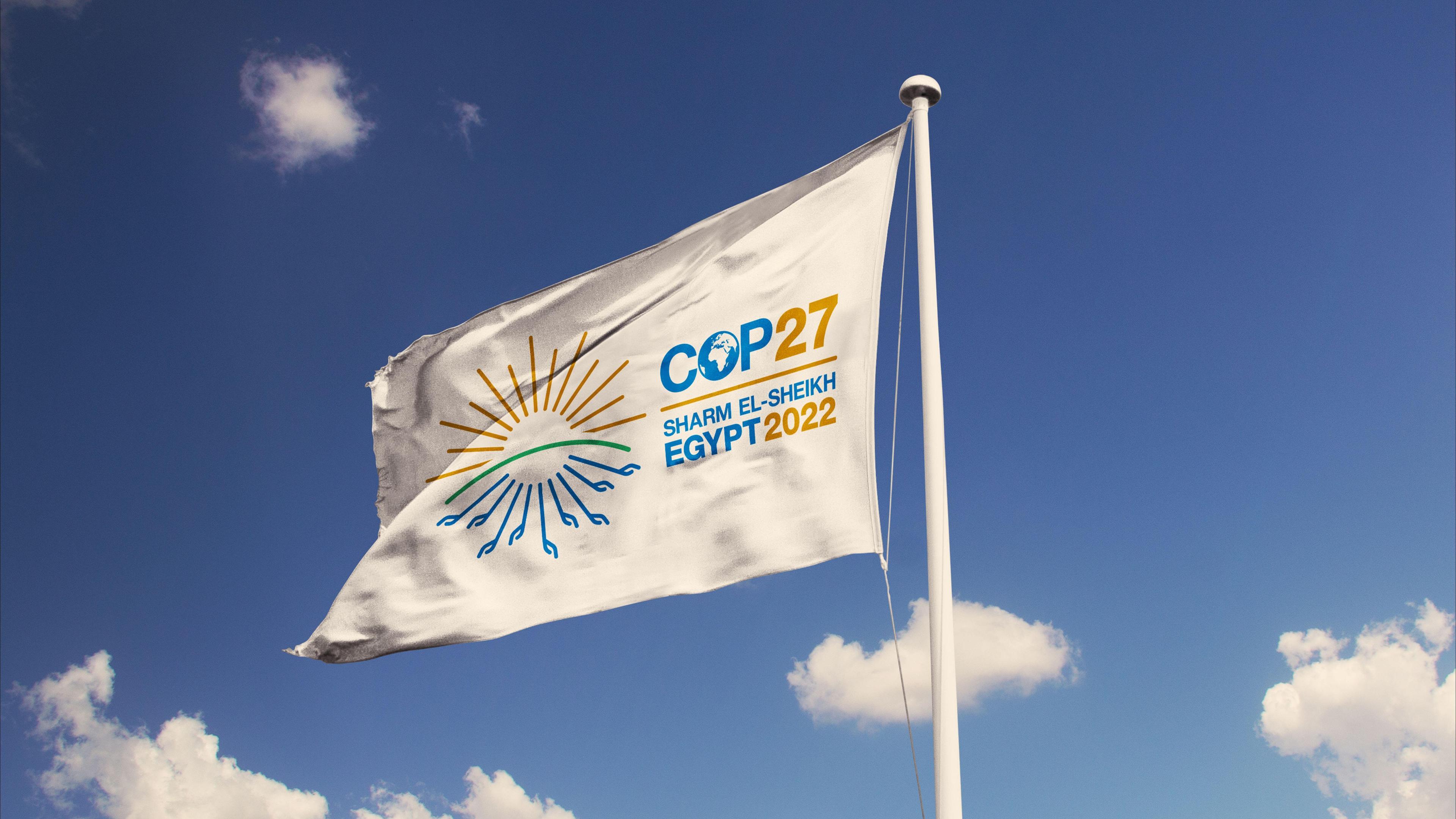 COP 27 flag