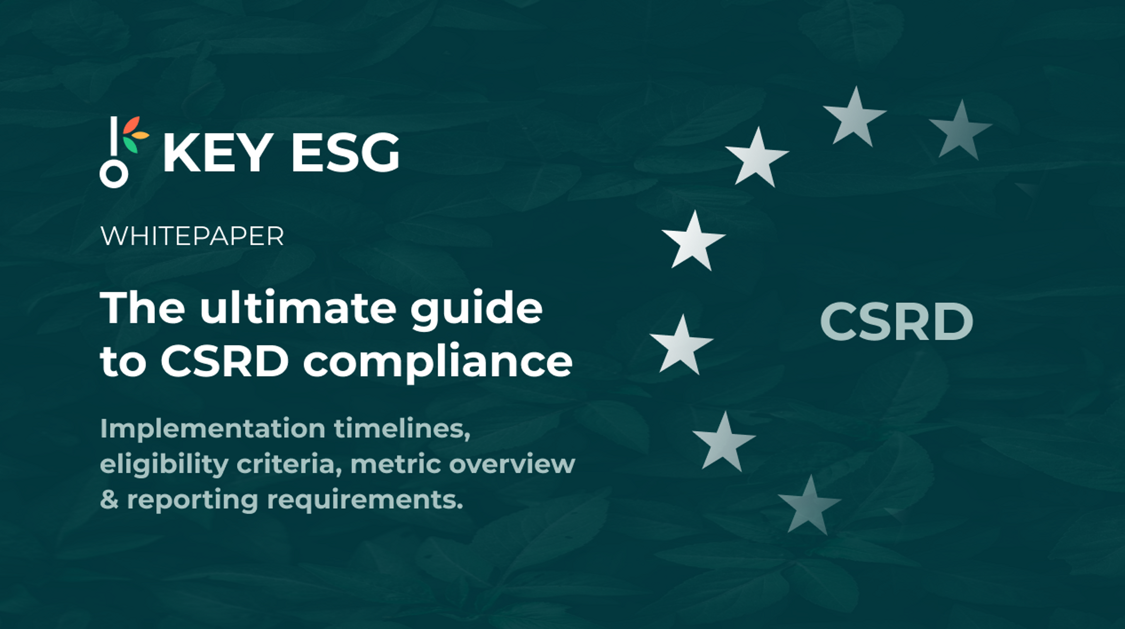 The ultimate guide to CSRD compliance