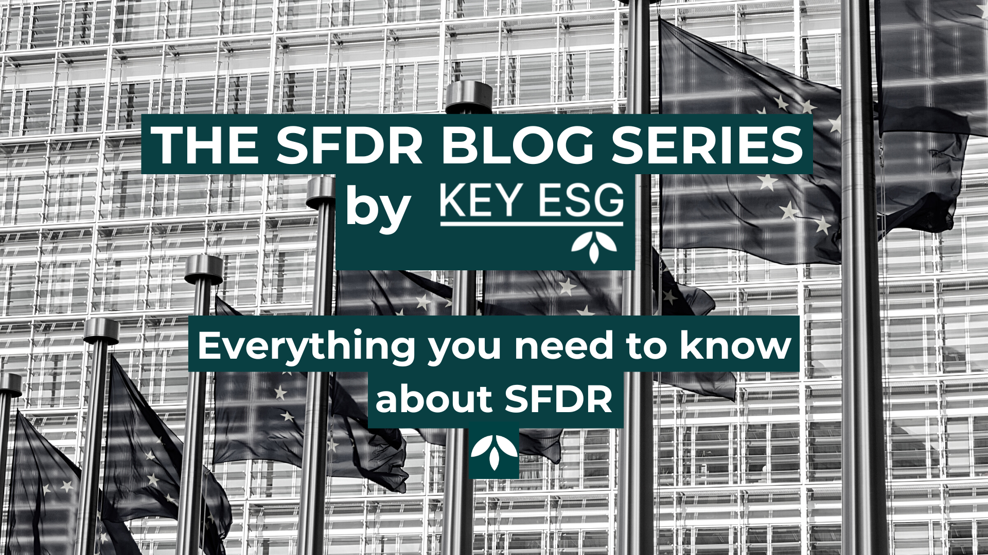 SFDR Blog Series: Everything You Need To Know About SFDR | KEY ESG