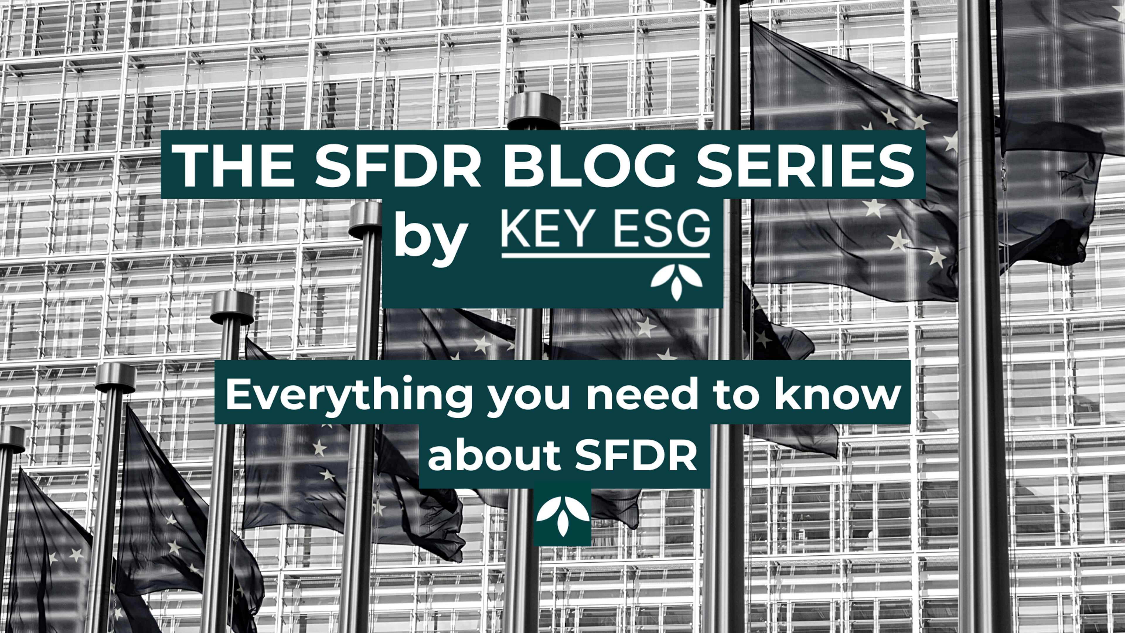 Navigate the SFDR regulation confidently with our blog series written by ESG experts