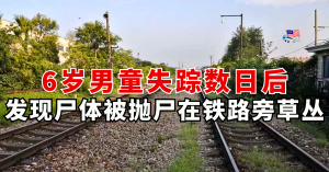 6岁男童失踪数日后，被抛尸在铁路旁草丛