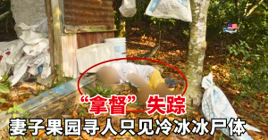 “拿督”失踪、妻子果园寻人只见冷冰冰尸体
