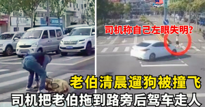 老伯清晨遛狗被撞飞     司机把老伯拖到路旁后驾车走人