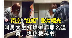 南京“红姐”影片曝光      叫男大生打蟑螂都那么温柔    堪称教科书
