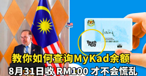 教你如何查询MyKad余额、8月31日收 RM100 才不会慌乱