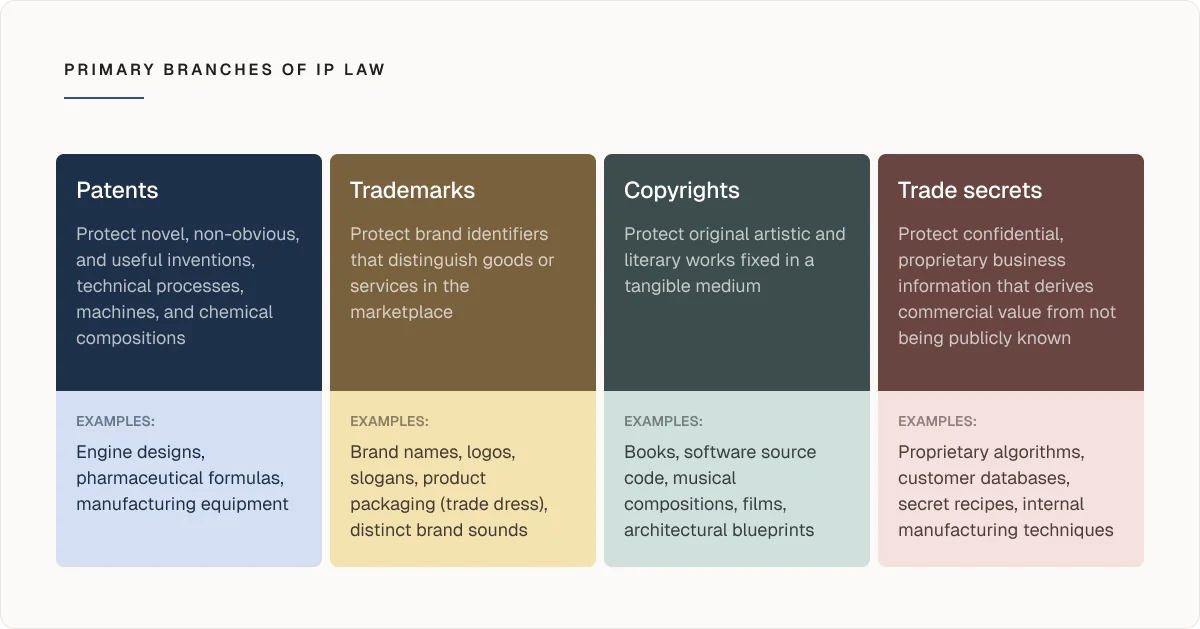 Primary branches of an IP law
