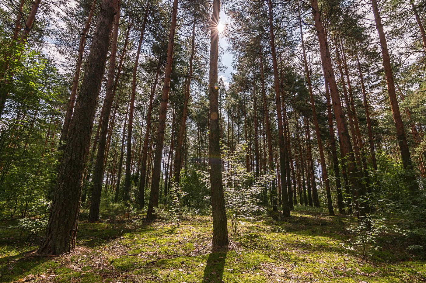 Воздушный участок в VIP-части поселка под загородную резиденцию
