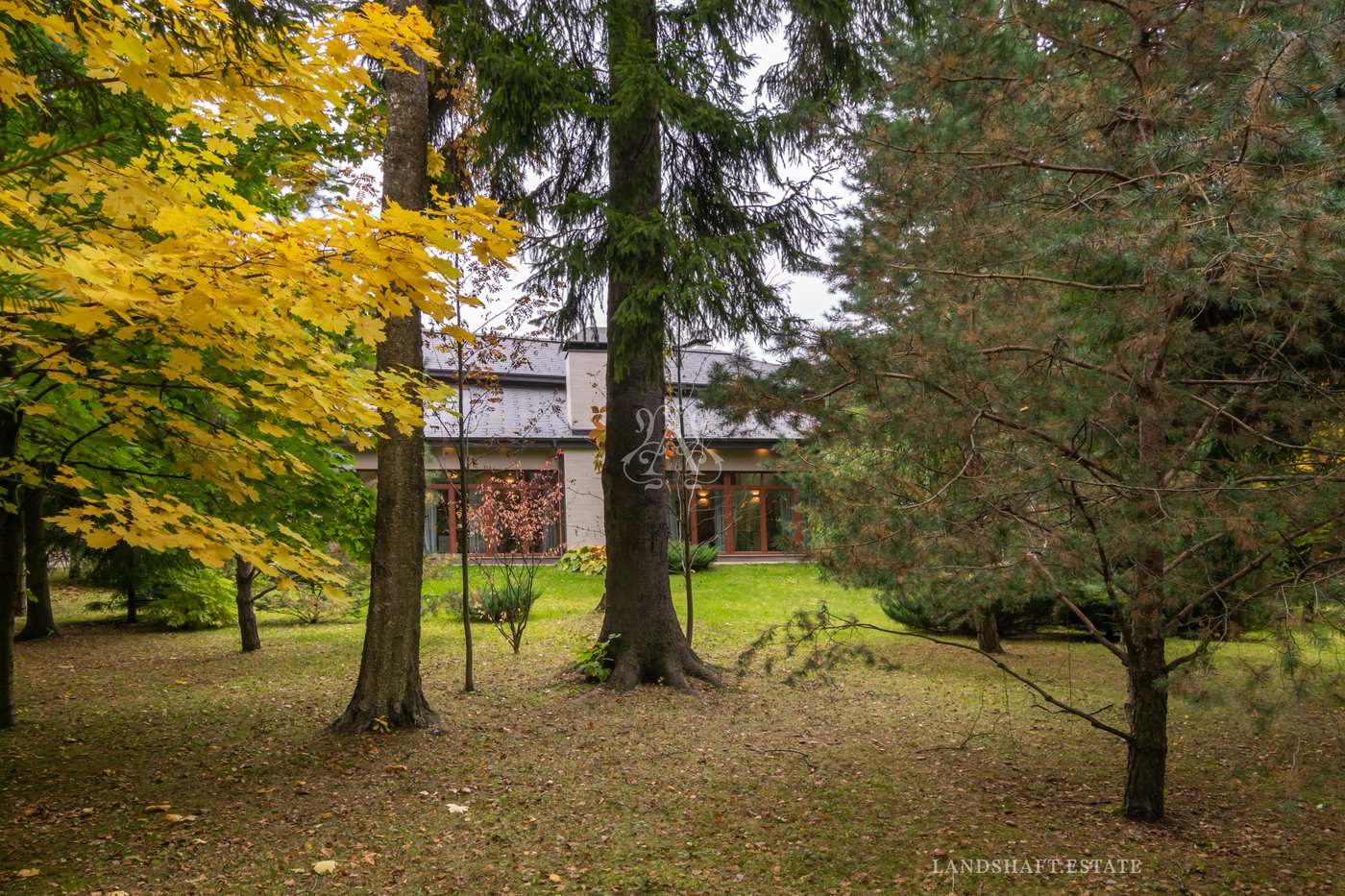 Современный дом с максимально открытым пространством и видом на лесной участок