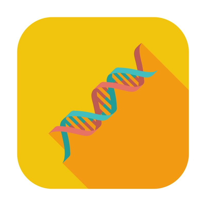 DNA icon. Single flat color icon.