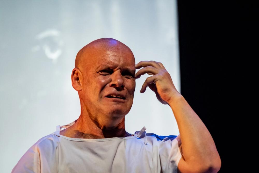 El alimento de las moscas FITM 2025