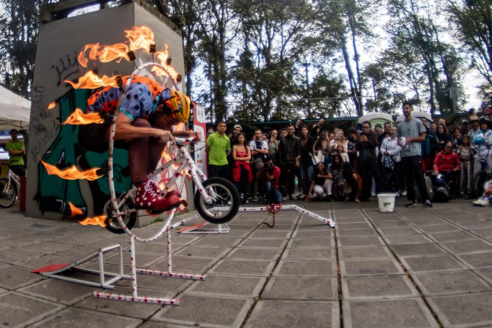 La carrera del perdedor FITM 2025