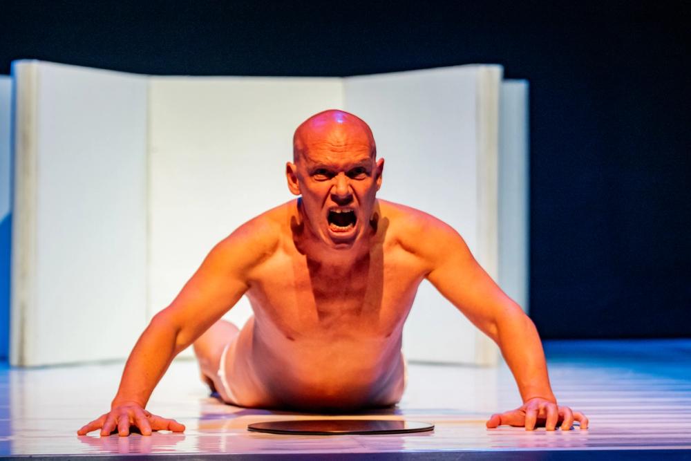 El alimento de las moscas FITM 2025