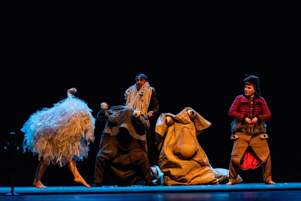 Pareidolia FITM 2025