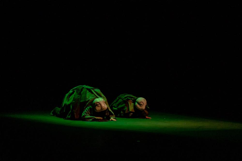 Carnaval de los animales FITM 2025